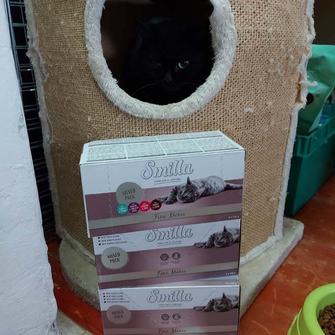 Burka