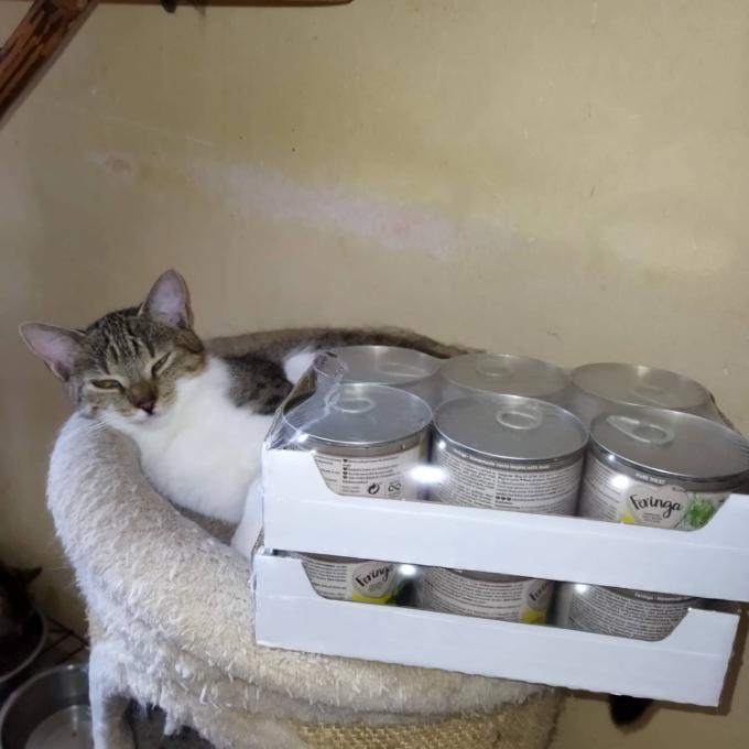 Leonka