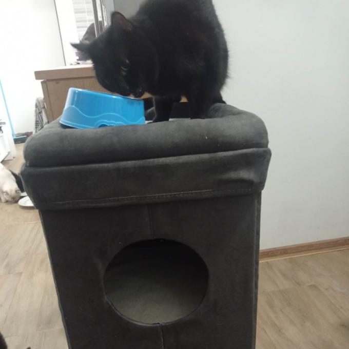 Kostík