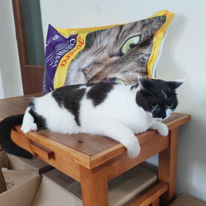 Dora
