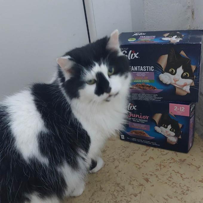 Macíček