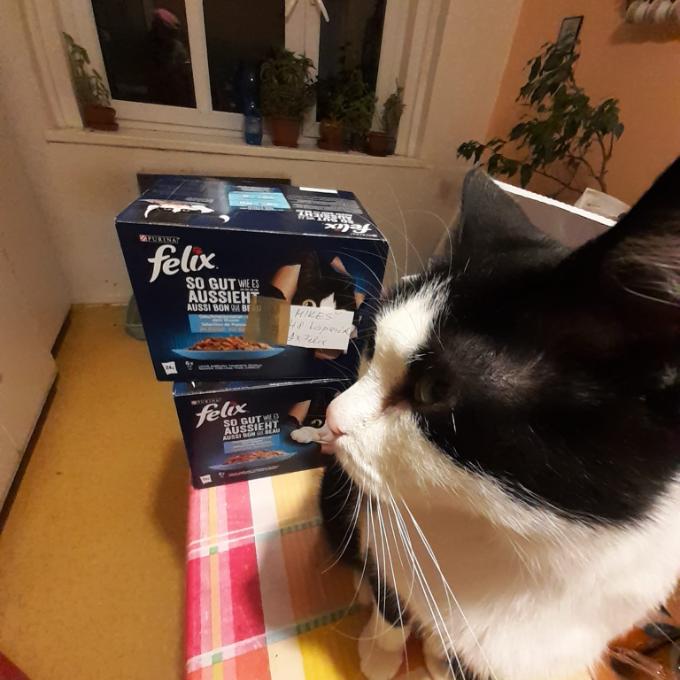 MIKEŠ