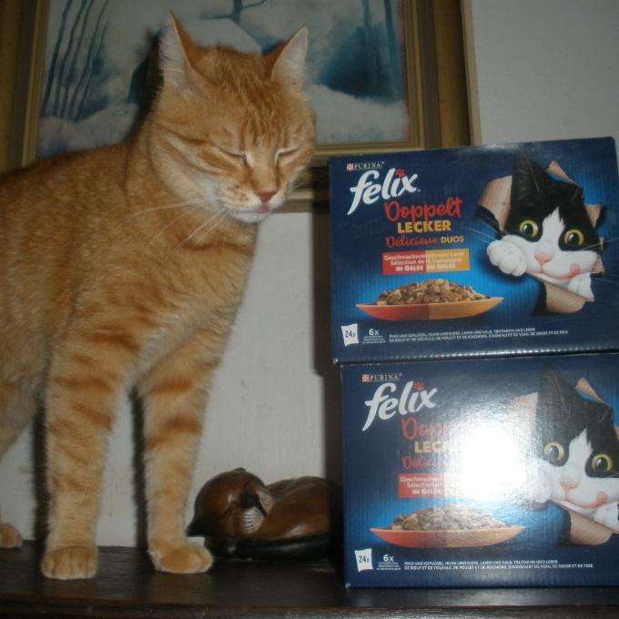 Albertek