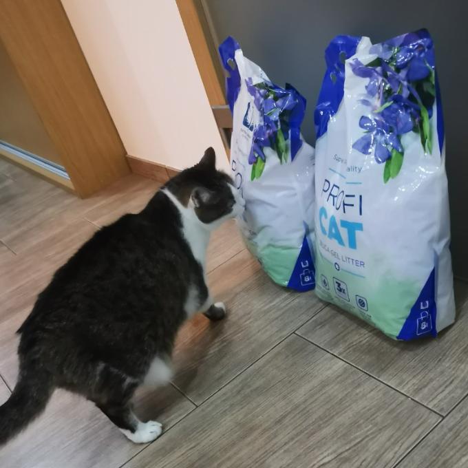 Eulálie
