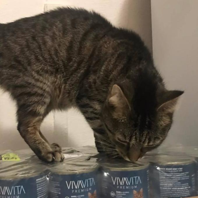 Šmorůvka