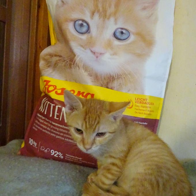 Micánek