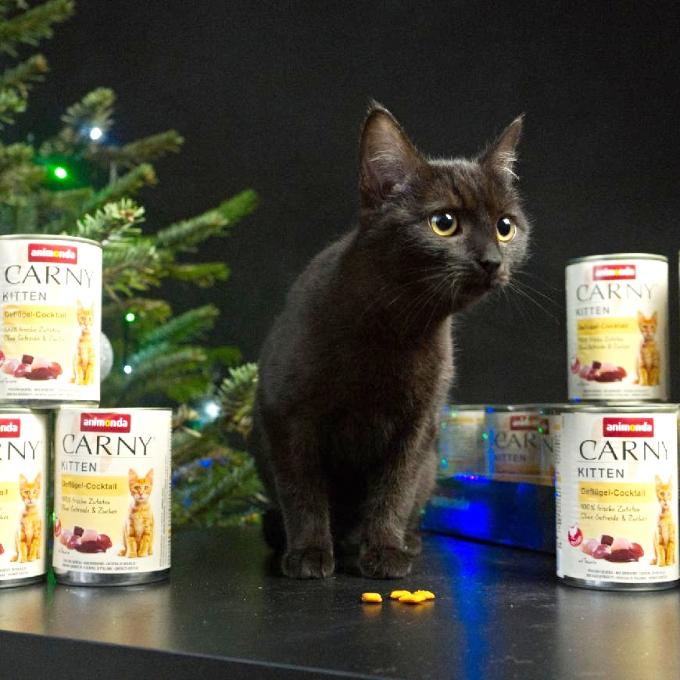 Čiperka