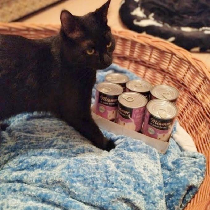 Blackie