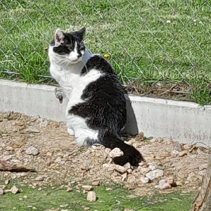 Jarunka