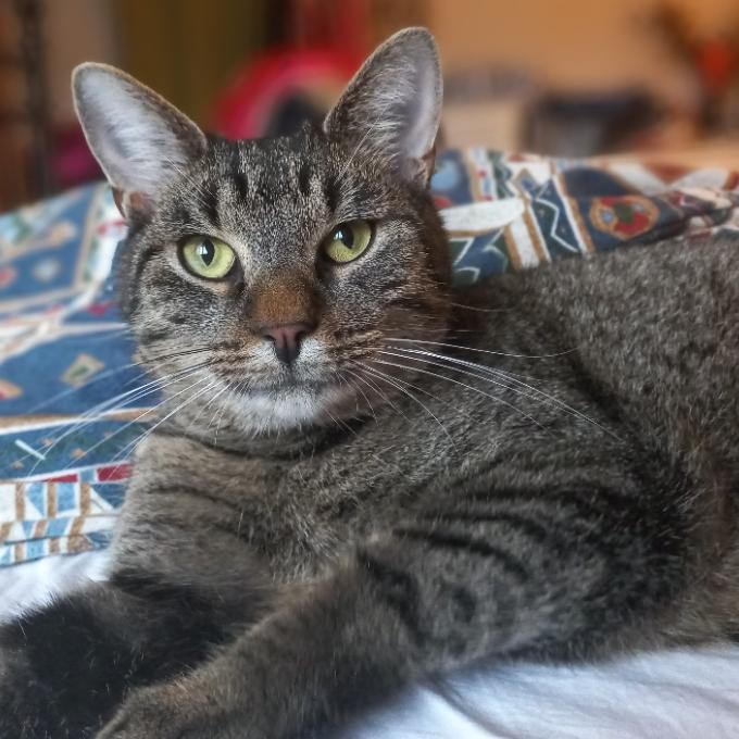 Oliver