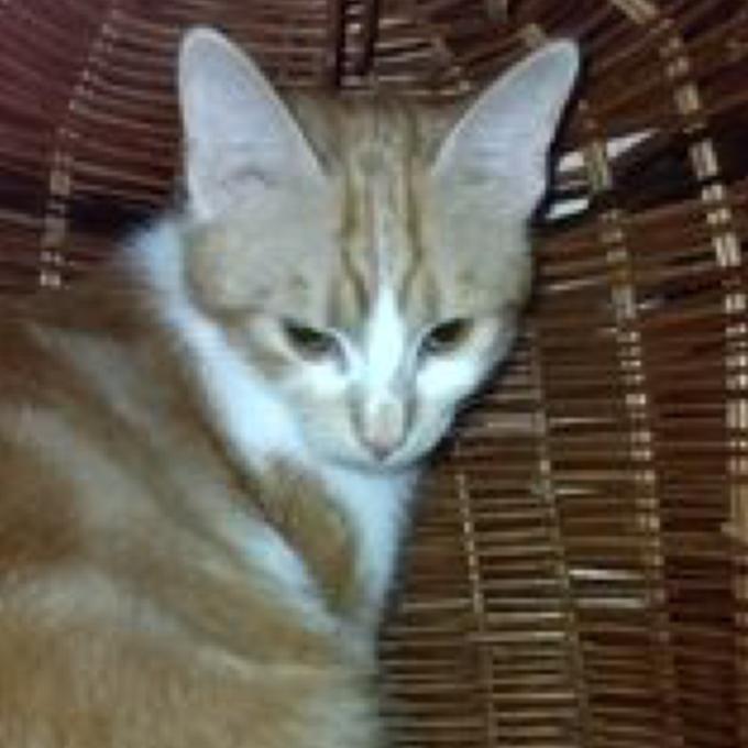 Charlie