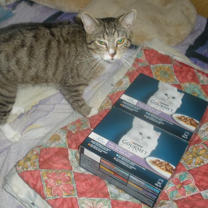 Cecilek