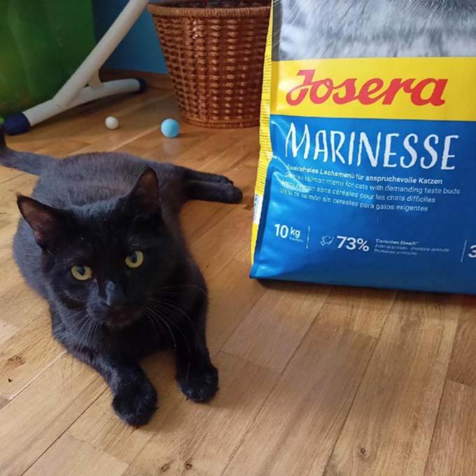 Marvin