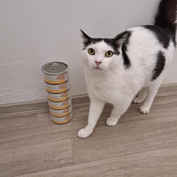Soplík