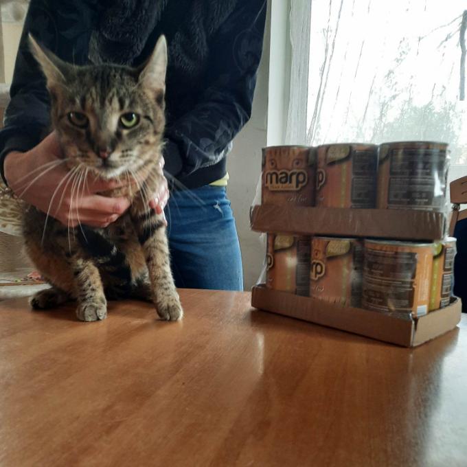 RUFUS