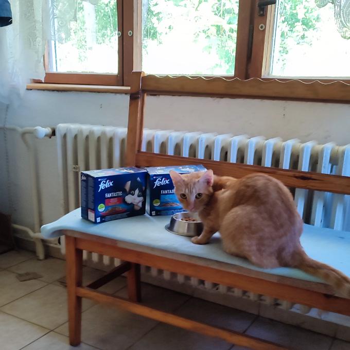 Boris
