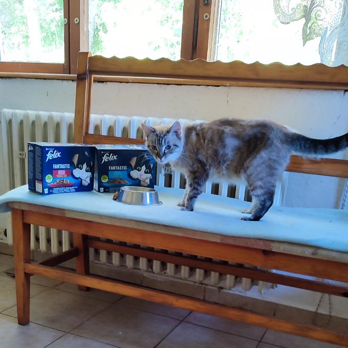 Leonka
