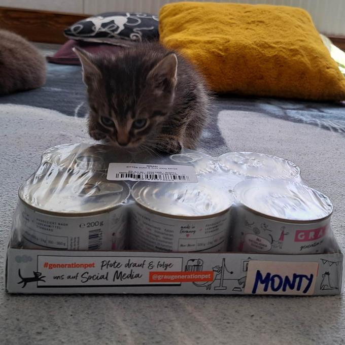 Monty