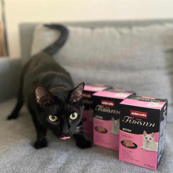 Sofinka