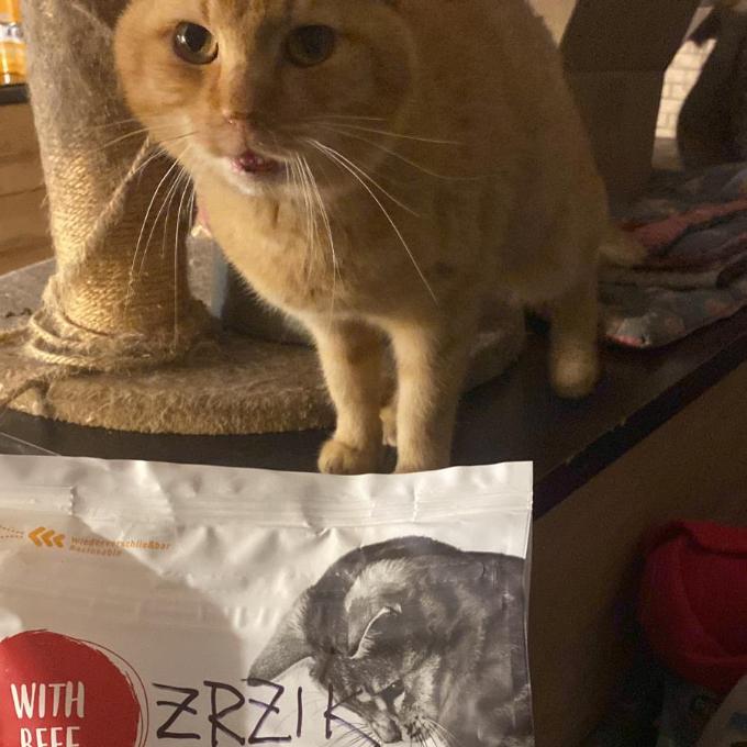 Zrzík