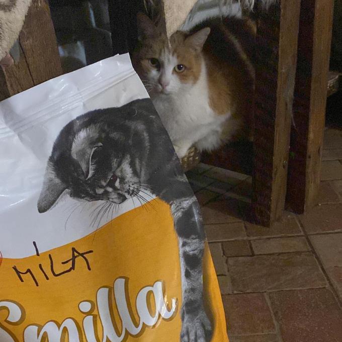 Míla