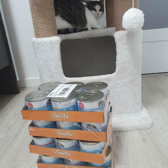 Pomněnka
