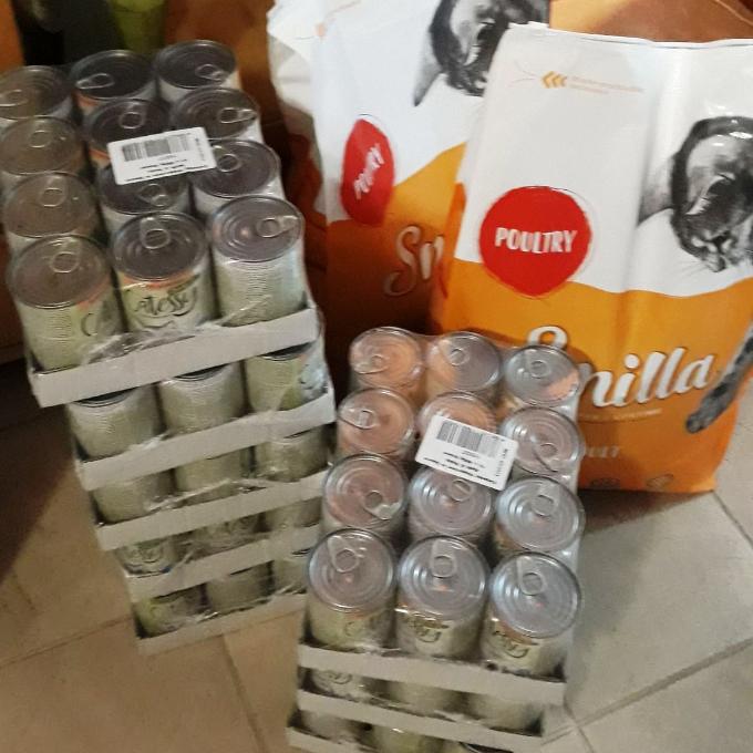Prosek u polikliniky