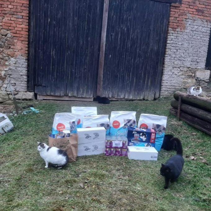 Místo zvané kočičí apokalypsa