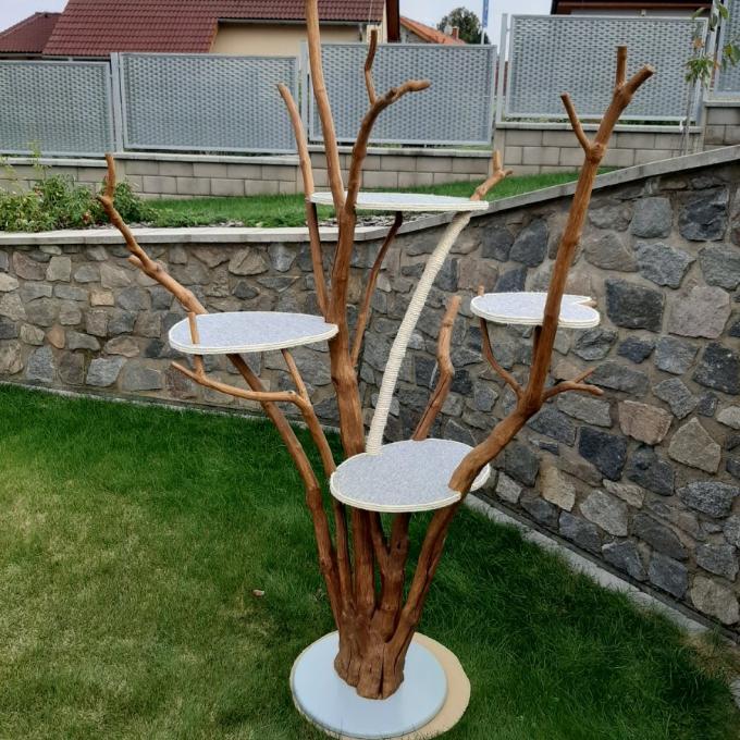 Kočičí strom