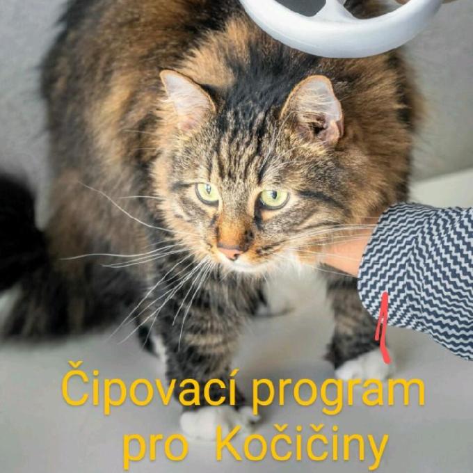 čipovací program