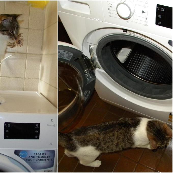 Pračka pro depozitum Kočičí dům u Mourečka