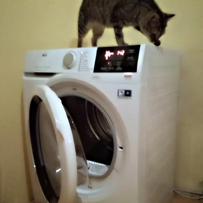 Sušička pro Kočičí dům u Mourečka