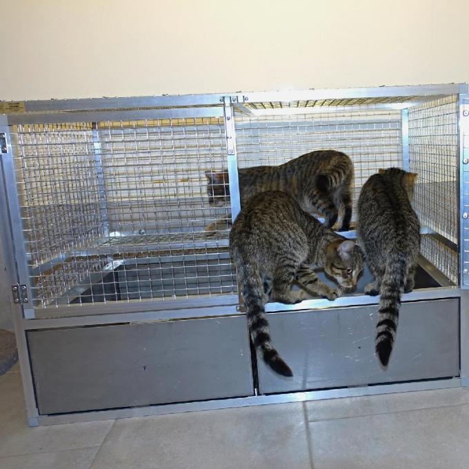 Karanténní box