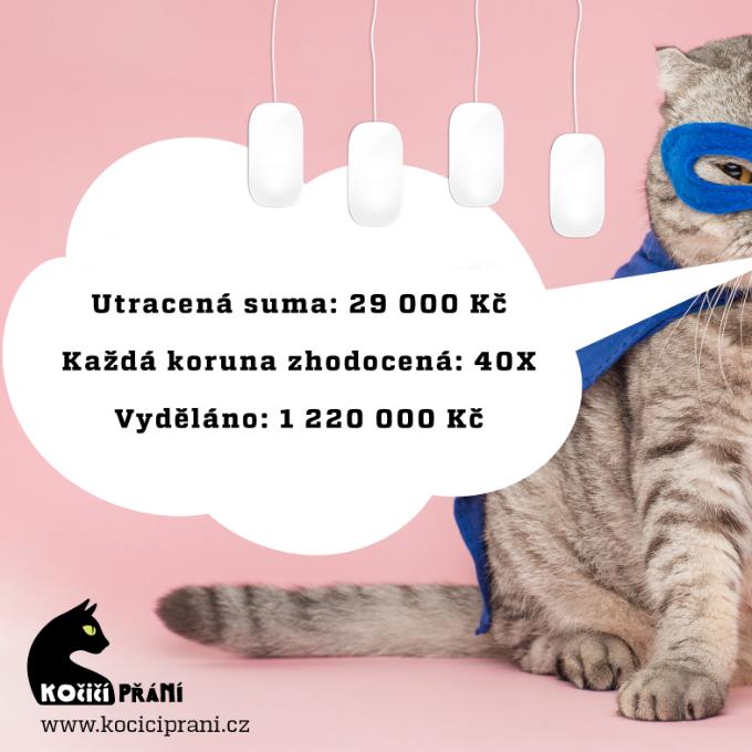 Reklama pro Kočičí přání