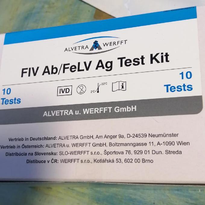 10 x test FELV/FIV