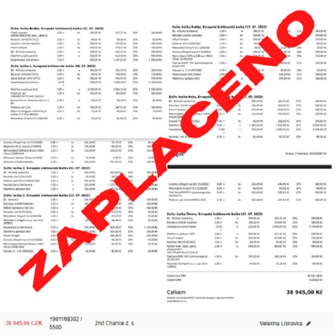 ZAPLACENÍ VÝDAJŮ ZA LÉČBU