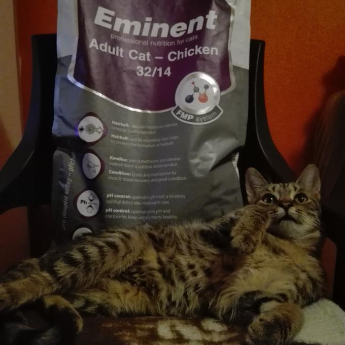 Olinka