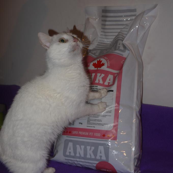 Jozífek