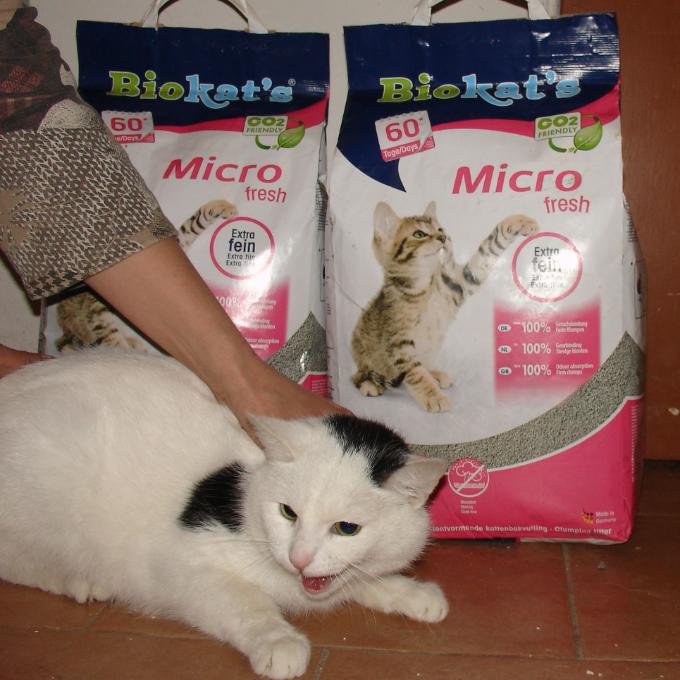 Ticián