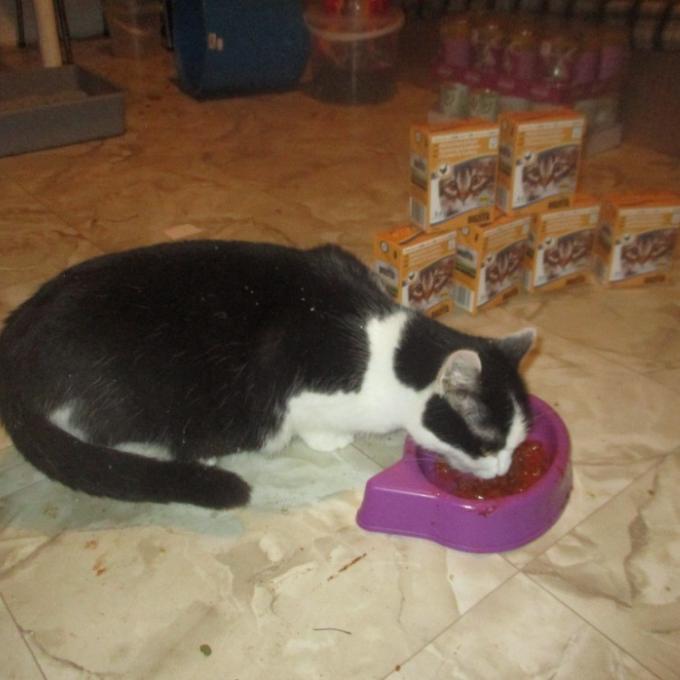Beáta