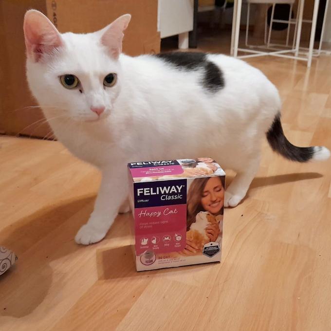 Kristyán