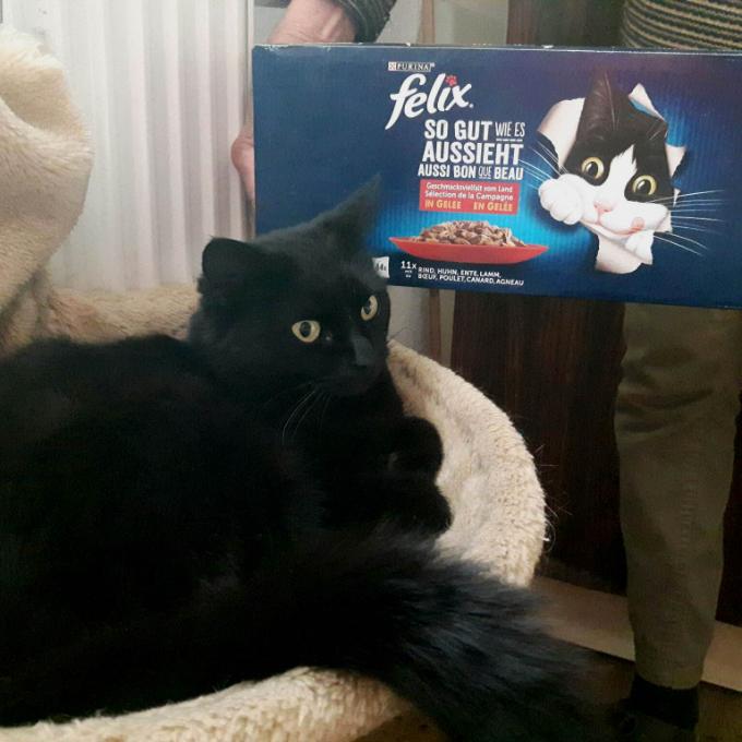 Sazinka