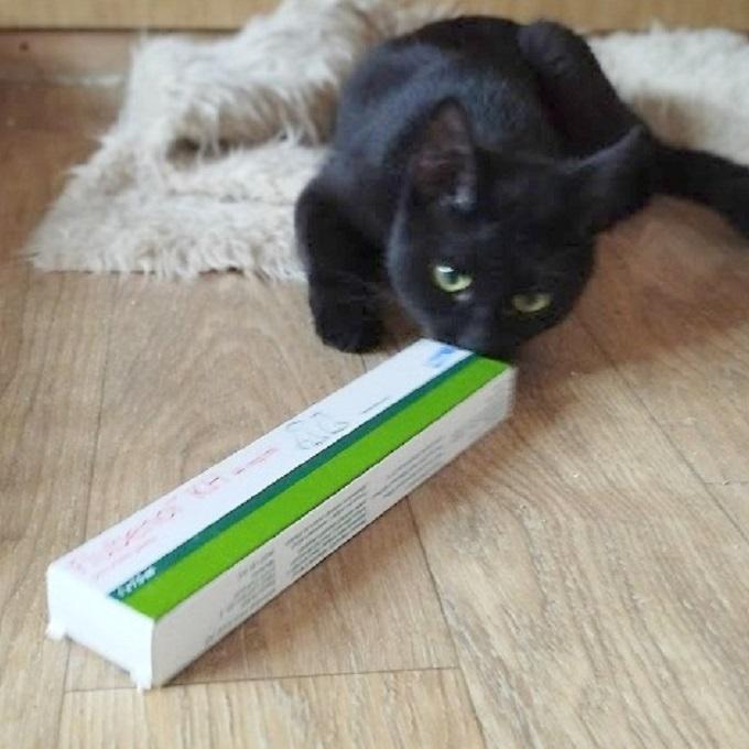 Floriánek