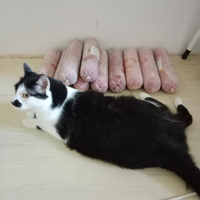 Čipmánek