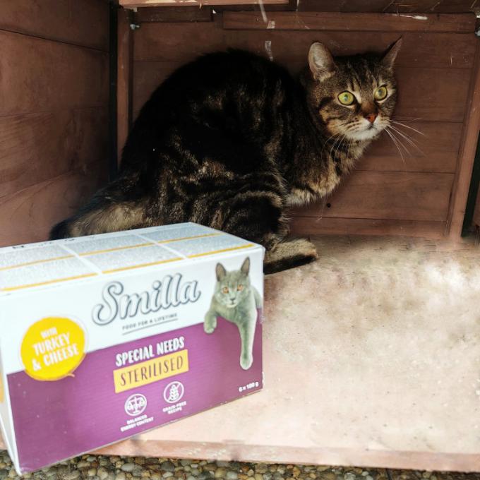 Sinkulka