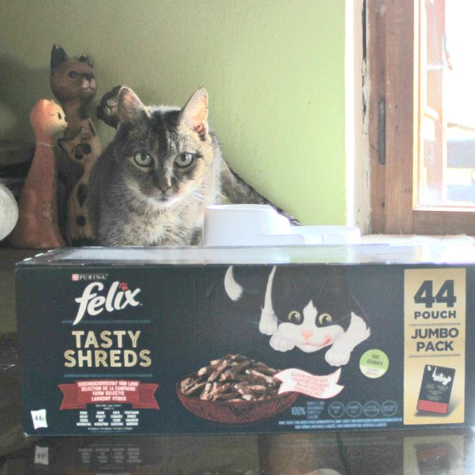 Zita
