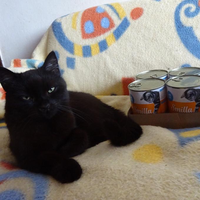 Salem