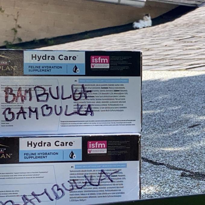 Bambulka