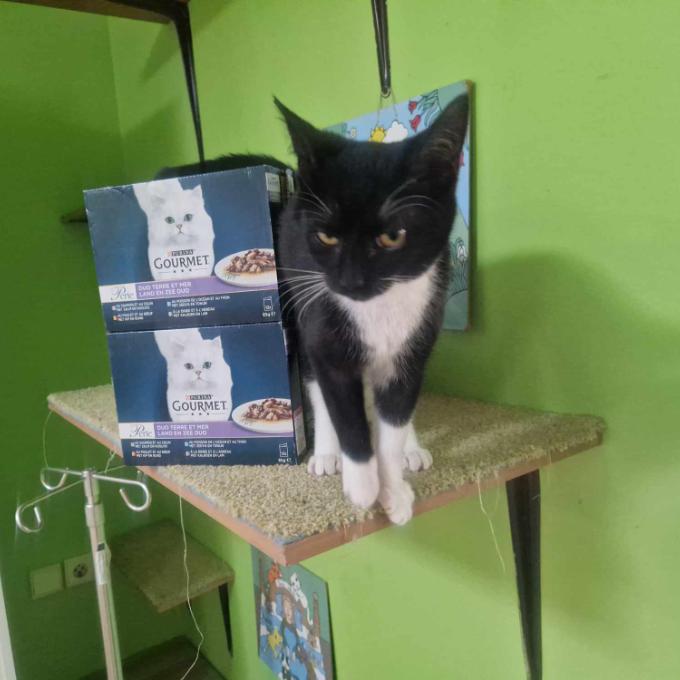 Tom