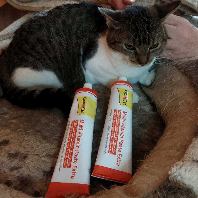 Leonka